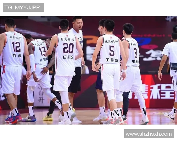 深圳篮球队总决赛个人能力分析与表现评估探讨