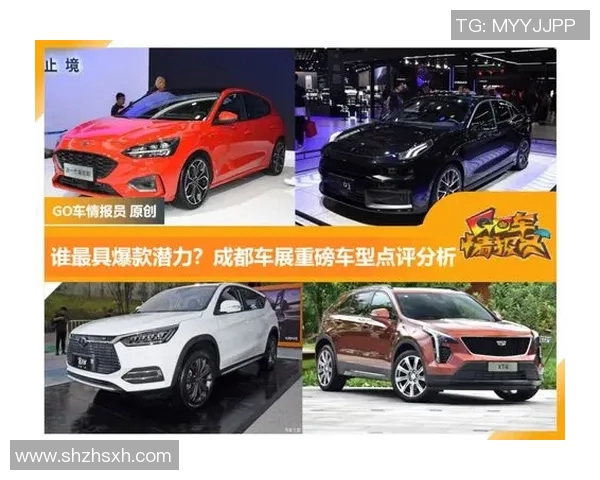 西安排球队在锦标赛中的速度表现分析与点评